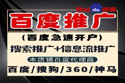 提升转化率：SEM广告投放的实战案例分享